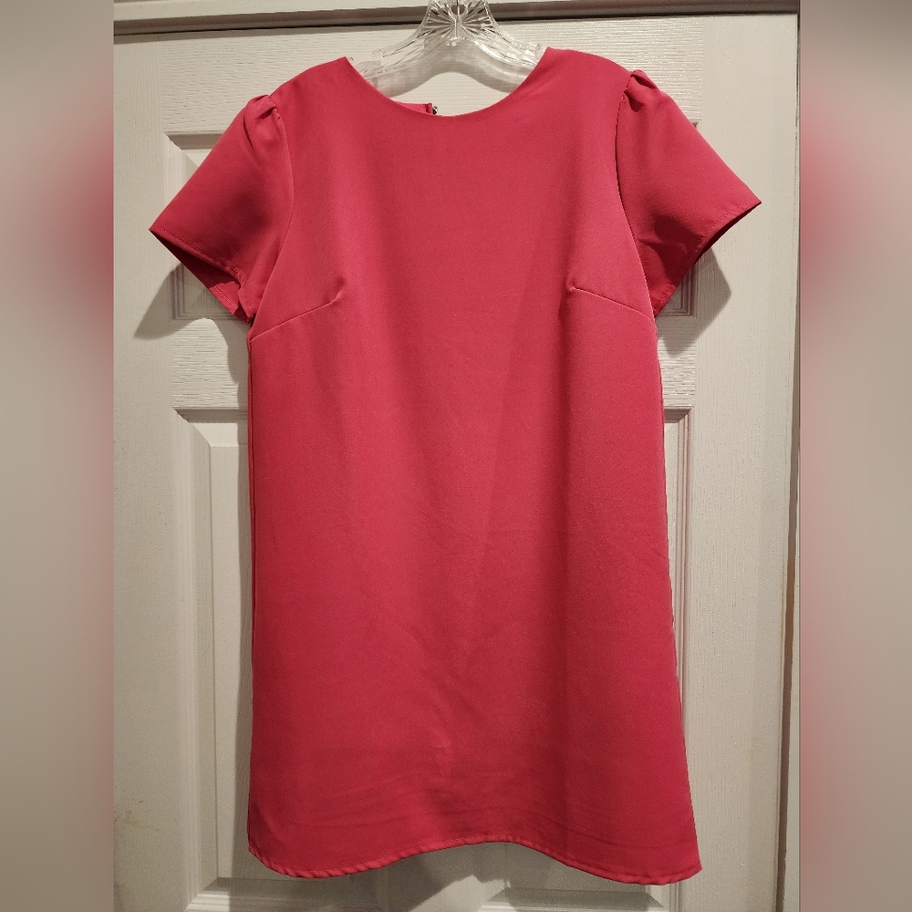 She + Sky  Pink shift dress NWT